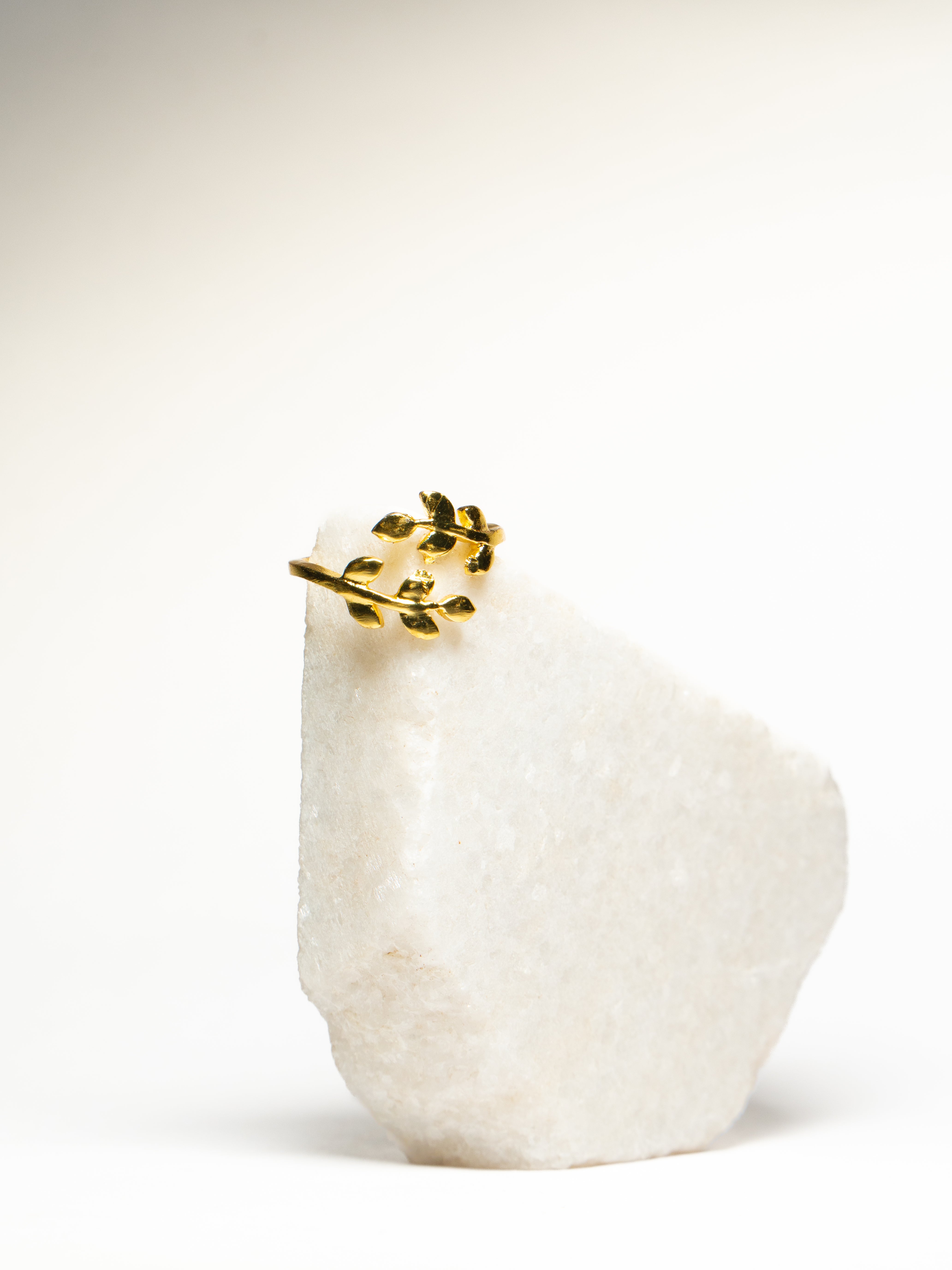 Magical Fern Ring