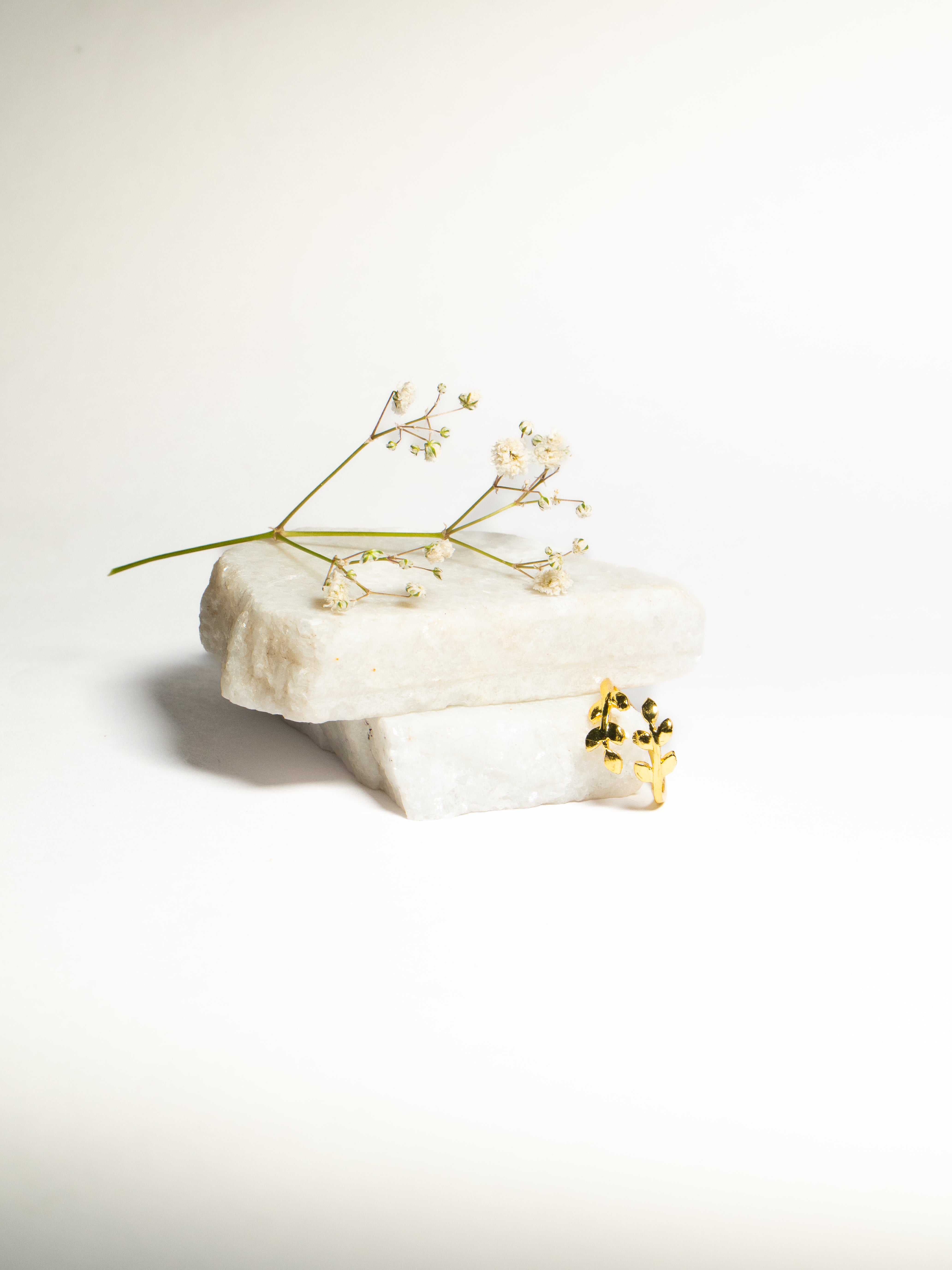 Magical Fern Ring