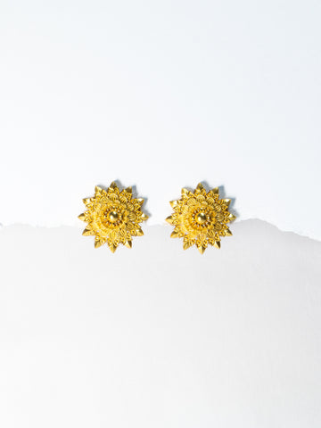 Rajputana Studs