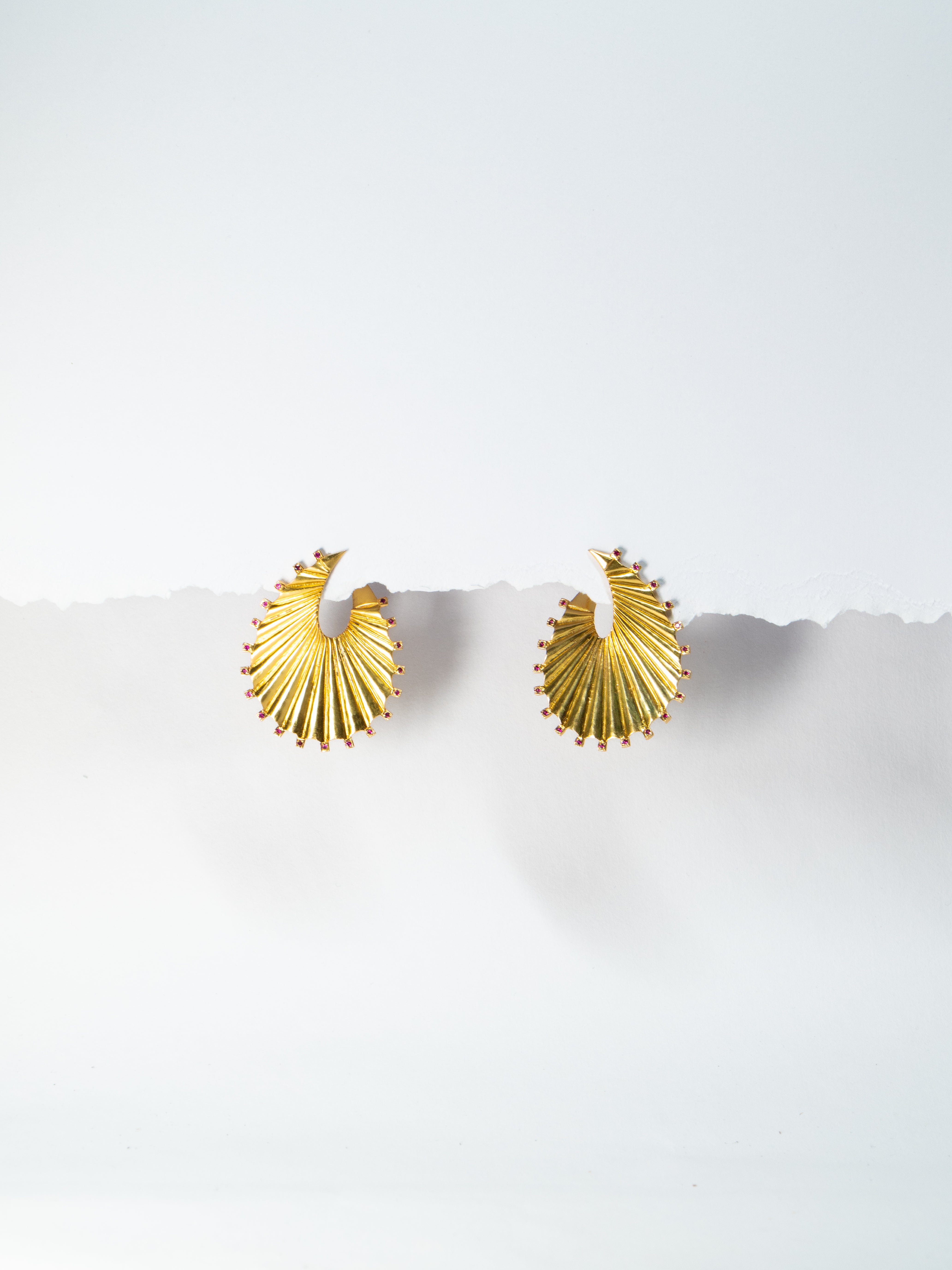 Shell Hoops