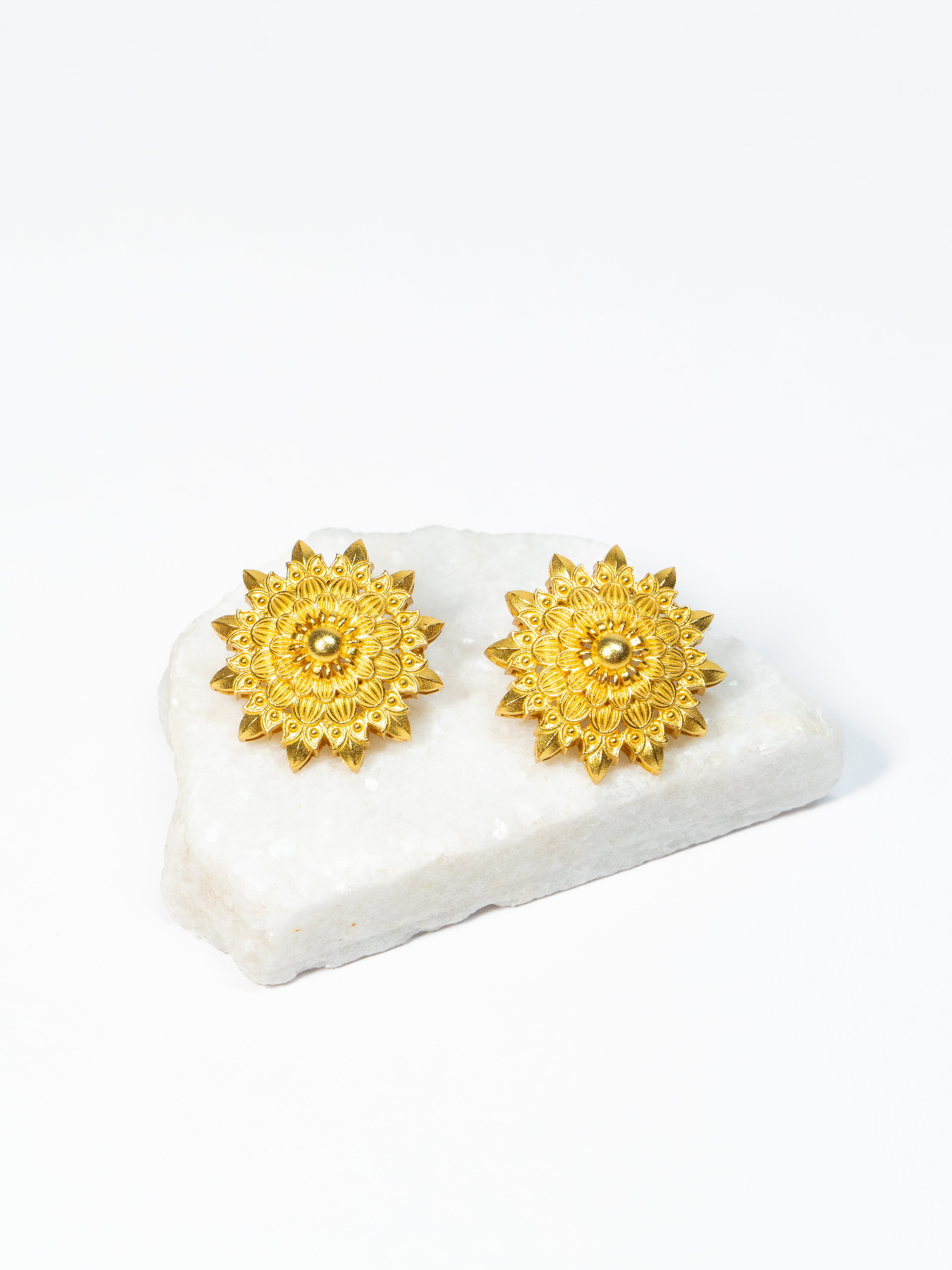 Rajputana Studs