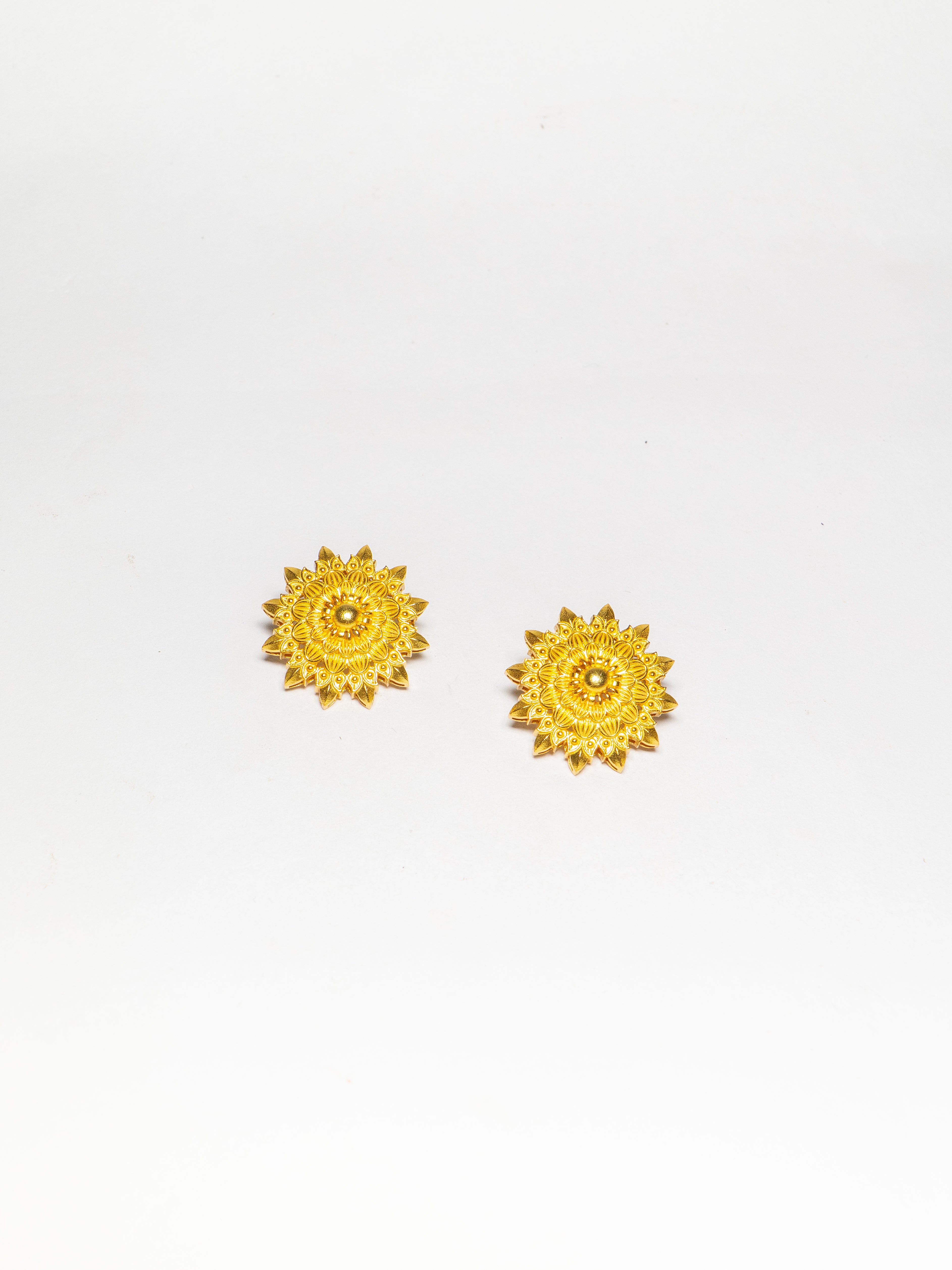 Rajputana Studs