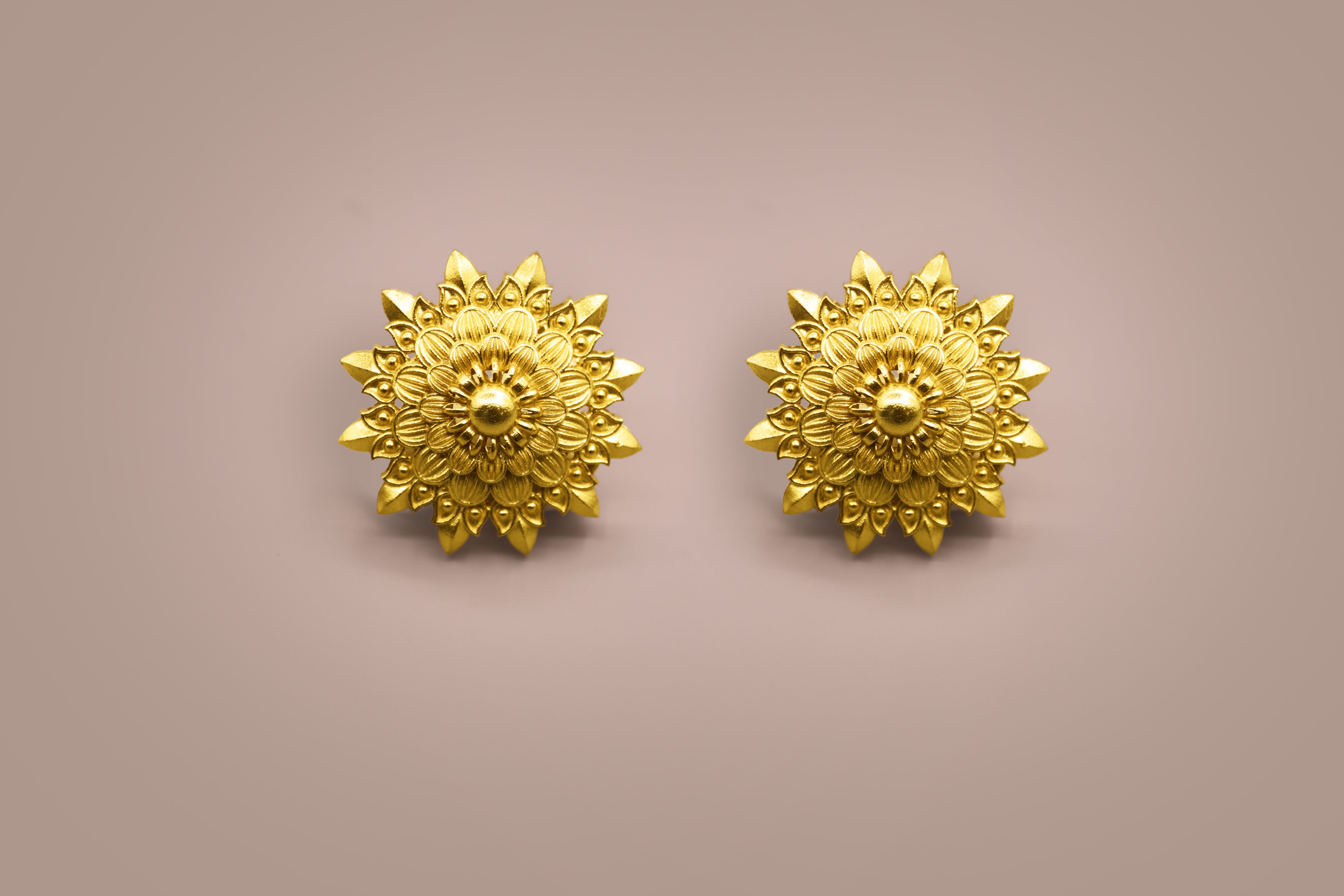 Rajputana Studs